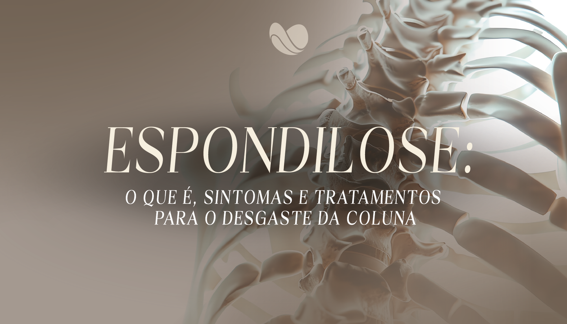 Espondilose: o que é, sintomas e tratamentos para o desgaste da coluna